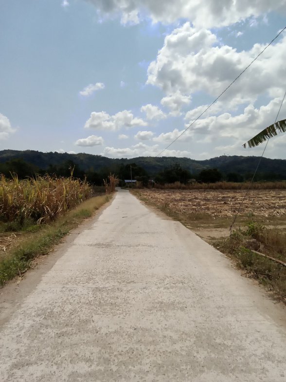 Fruit Farm For Sale Philippines [34,204 Properties] (September 2023) on