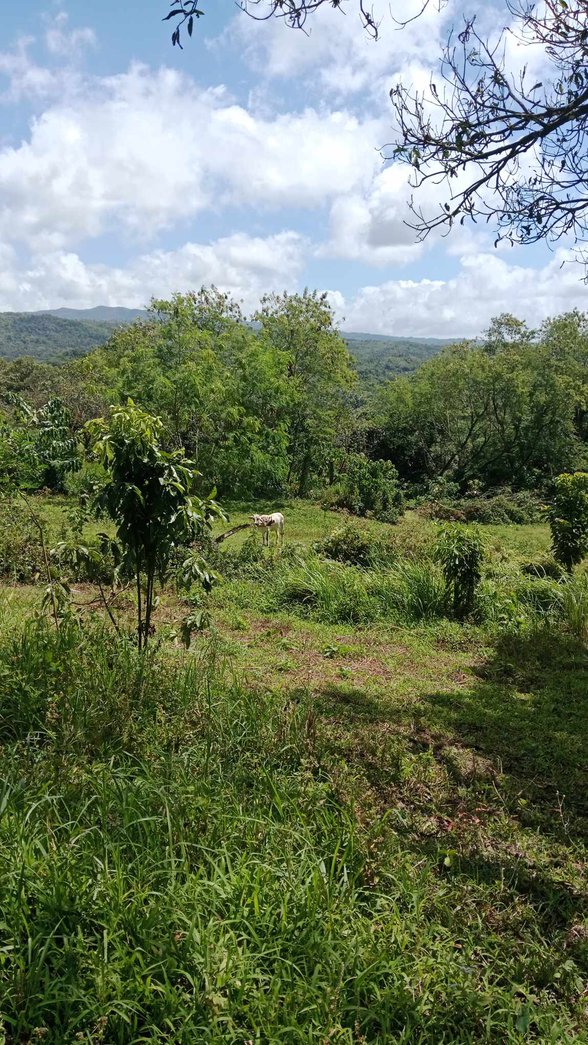 Sampaloc Tanay Rizal Lot For Sale [44,152 Properties] (March 2024) on