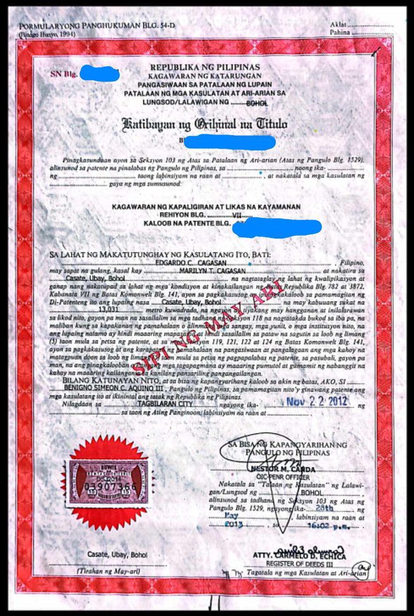 Residential Farm Lot For Sale Ubay Bohol [77 Properties] (July 2024) on