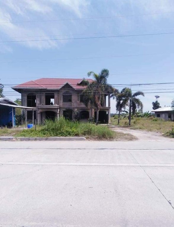 Lot For Sale Camiling Tarlac 🚜 [9 Properties] (July 2021) on