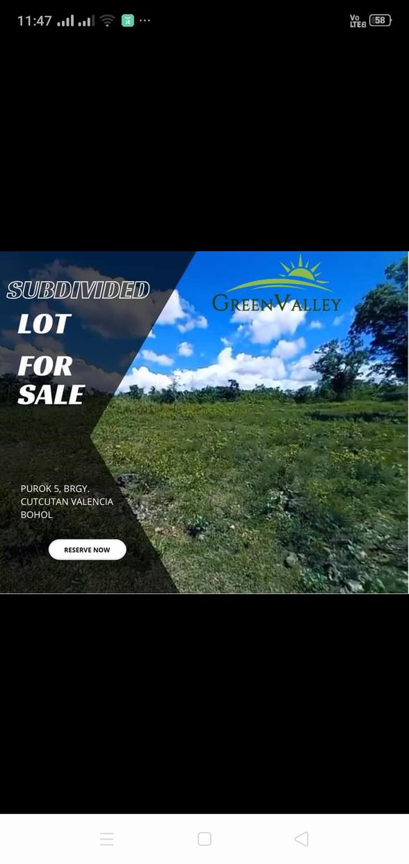 Affordable Lot For Sale Valencia Bohol 🚜 [2 Properties] (June 2023) on