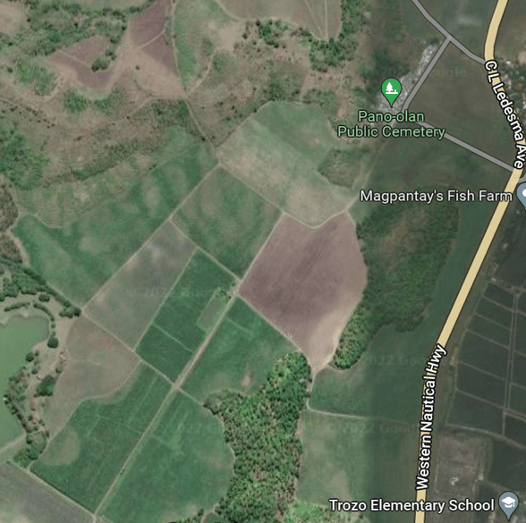 Agricultural Farm Lot For Sale San Carlos Negros Occidental 🚜 [7