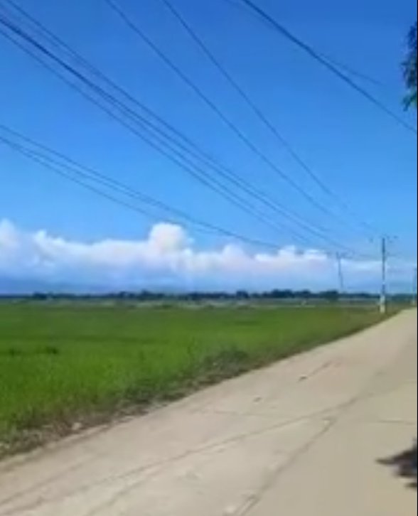 Agricultural Farm Lot For Sale Santa Barbara Pangasinan [136 Properties] (September 2024) on