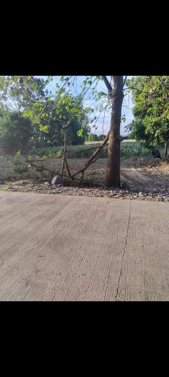 Lot For Sale Binalonan Pangasinan 🚜 [222 Properties] (June 2023) on