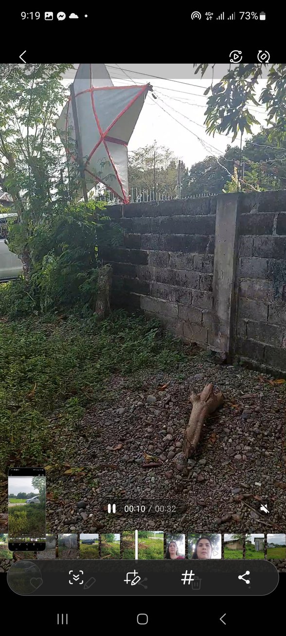 Residential Lot For Sale San Manuel Pangasinan [126 Properties