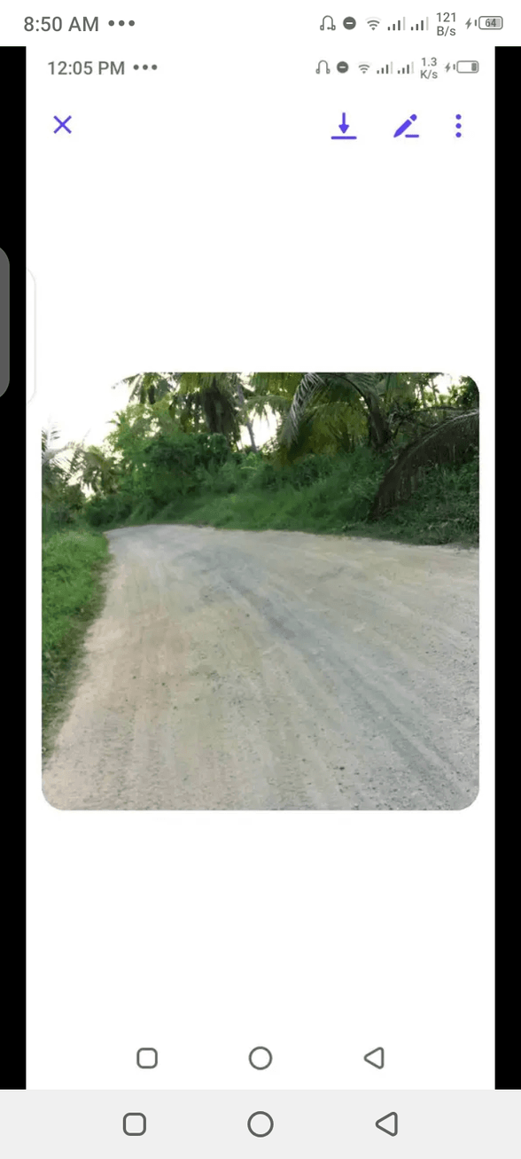 Agricultural Farm Lot For Sale Infanta Quezon 🚜 [103 Properties