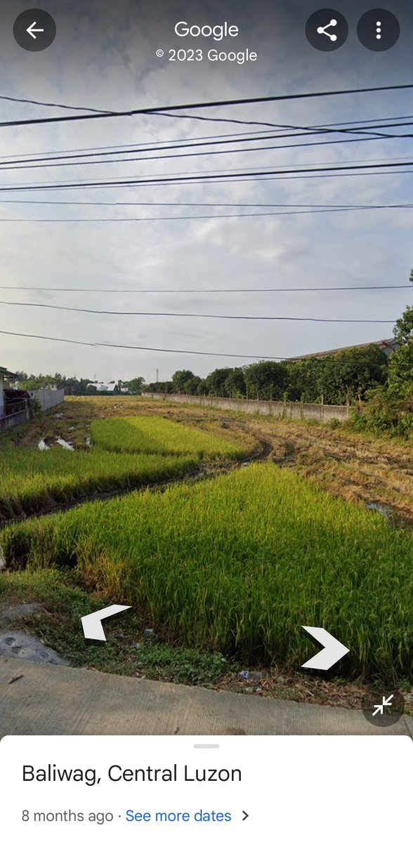 Agricultural Farm Lot For Sale Baliuag Bulacan [93 Properties