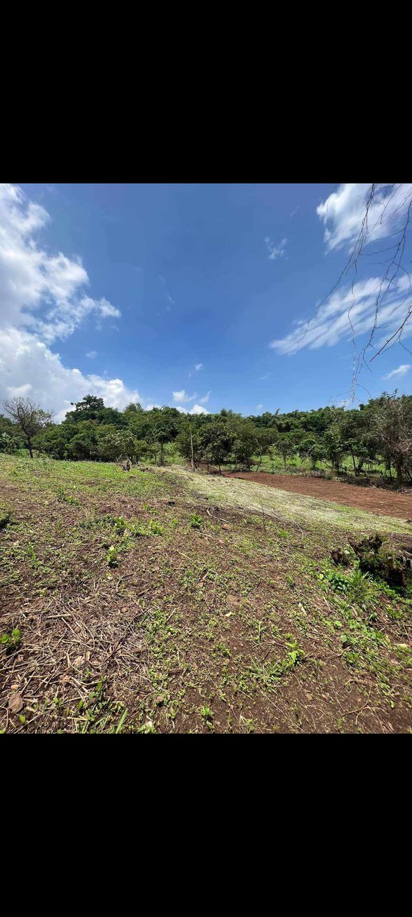 Discounted Lot For Sale Morong Rizal [826 Properties] (August 2024) on