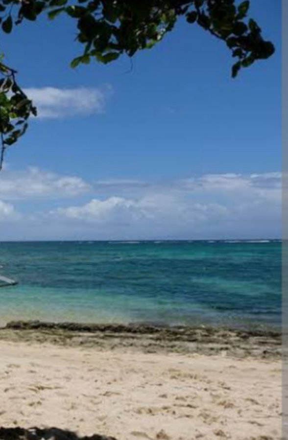 Beach Farm For Sale Philippines [5,840 Properties] (August 2024) on