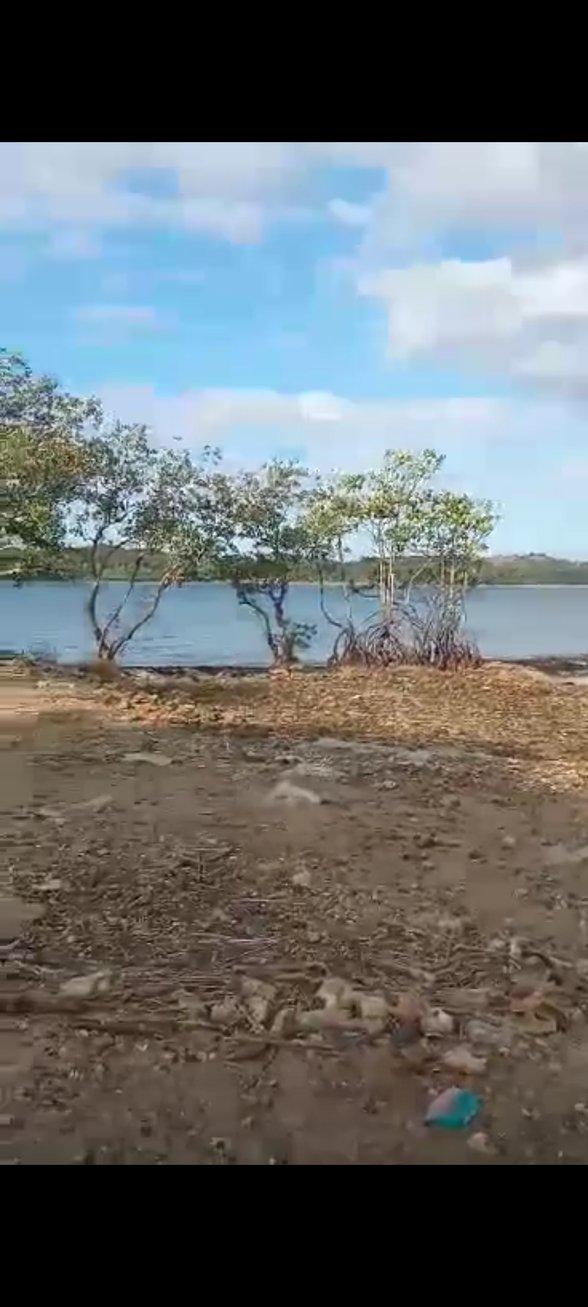 Hidden Paradise Resort Bani Pangasinan [129 Properties] (August 2024