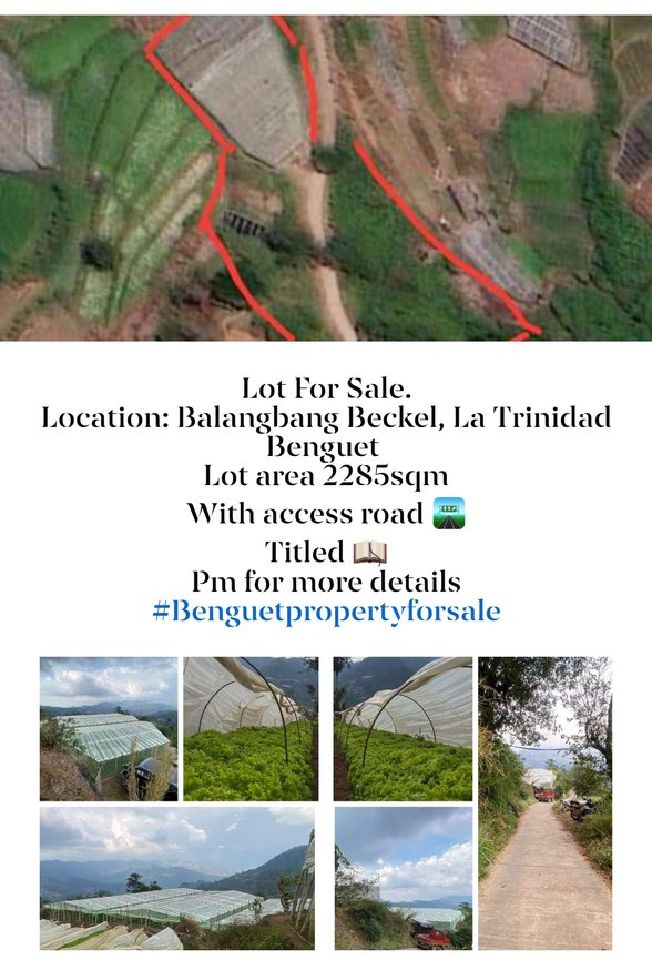 Residential Farm Lot For Sale La Trinidad Benguet [6 Properties