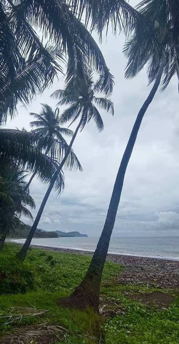 Jose Abad Santos Trinidad Davao Occidental Properties [3 Properties