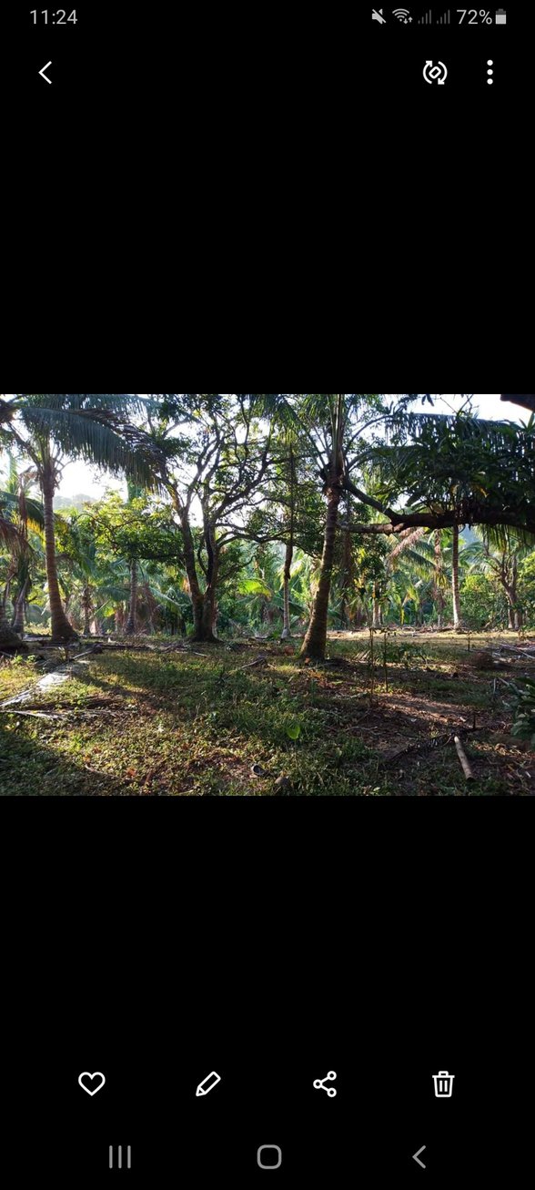 Agricultural Farm Lot For Sale Malvar Batangas 🚜 [107 Properties