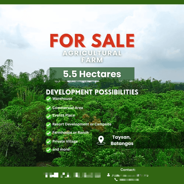 Farm Lot For Sale Taysan Batangas [236 Properties] (February 2026) on ...