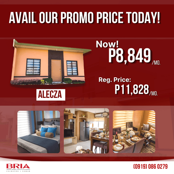 Preselling House And Lot For Sale Calbayog Samar 🏘️ [25 Properties] (June 2021) on