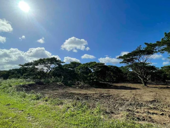 Invest Own Build on a Residential Lot for Sale: Arcilo in Nuvali Estate by Ayala Land BPI Financing