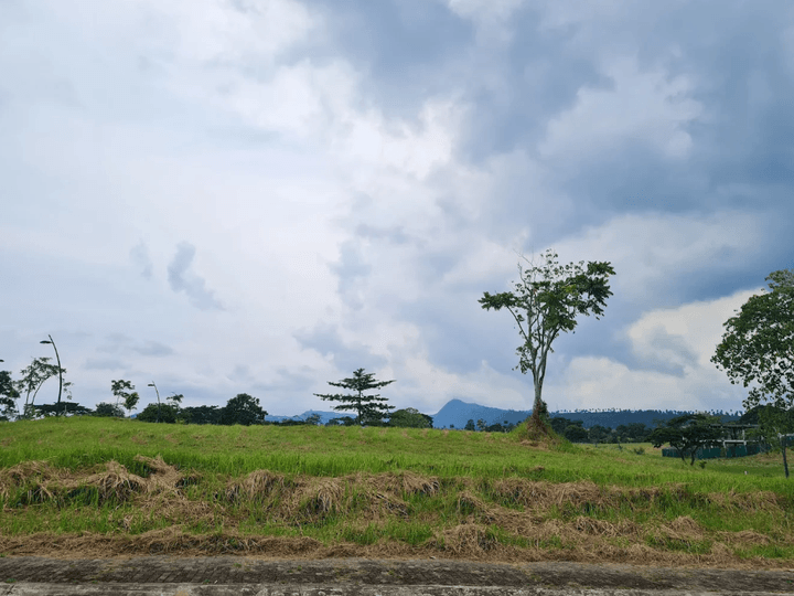 484 sqm Premium Residential Lot in Nuvali's Master-Planned Riomonte Community