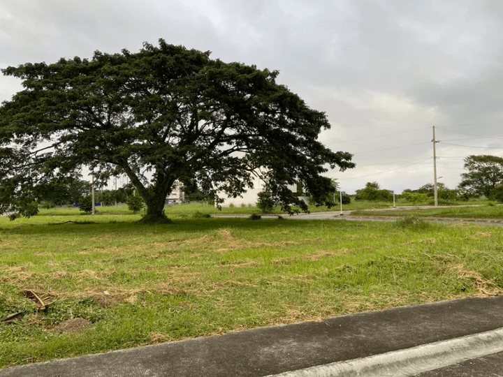 269 sqm Residential Lot For Sale in Santa Rosa Laguna