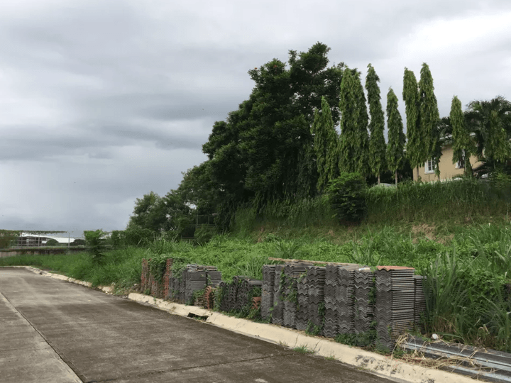 Luxurious 604 sqm residential lot in Brentville International Community