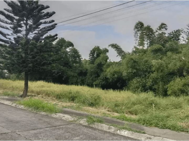 Invest Own and Build your Dream House in South Peak San Pedro on a Residential Lot for Sale