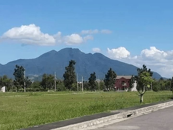 The Glens at Parkspring: House and Lot Units in Laguna's Serene Park Spring Community
