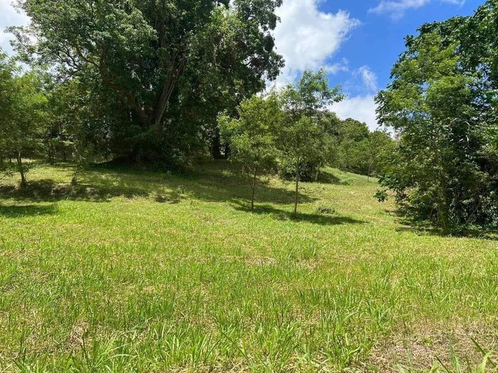 Build your Dream Vacation Home in a residential resort lot for sale at Canyon Woods Laurel Batangas