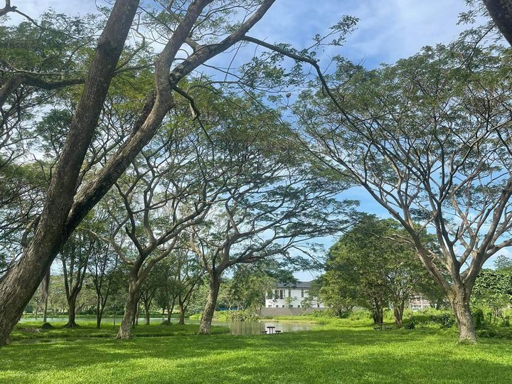 Fully completed Prime Residential Lots in Tiaong, Quezon from 294 to 639 Sq.m