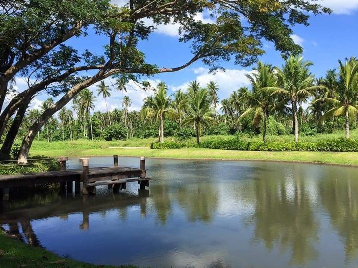 Prime Residential Lots Available in Tiaong, Quezon from 580 to 639 Square Meters