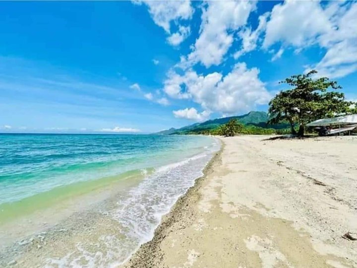 Playa Laiya: Exclusive Seaside Residential Community in Batangas