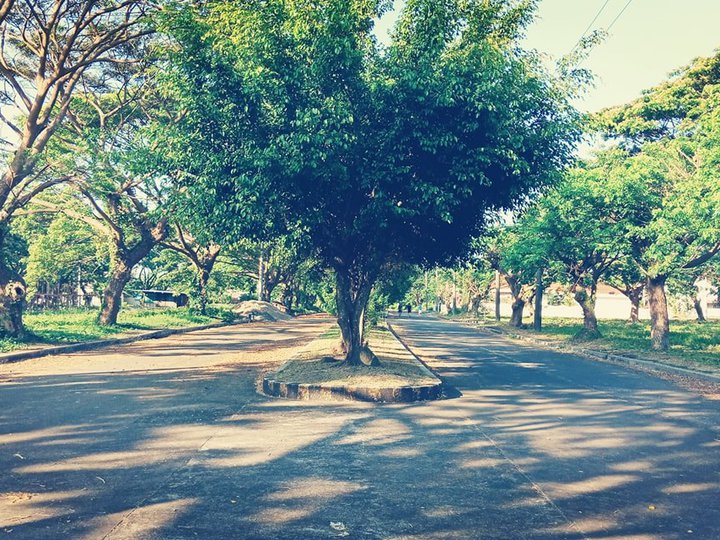 Prime residential lots available in Cuesta Verde Lucena