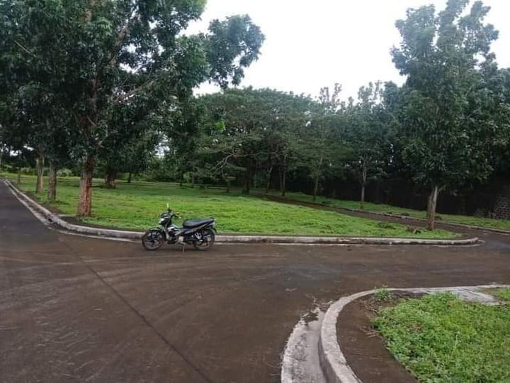 Prime residential lots in Cuesta Verde Lucena - Starting at 918,000