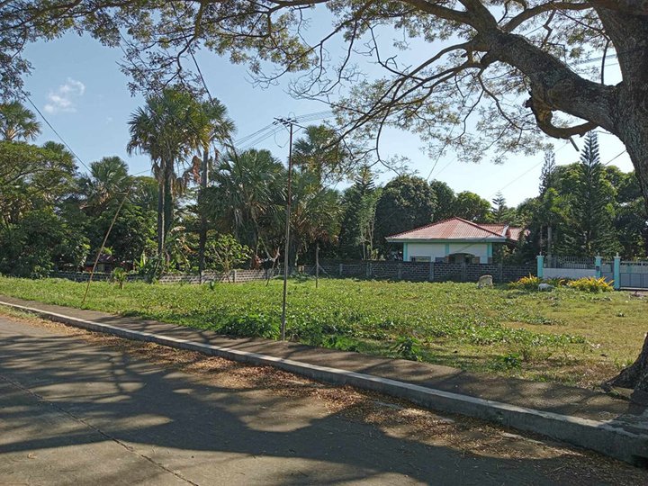 168 sqm Residential Lot For Sale in Lucena Quezon