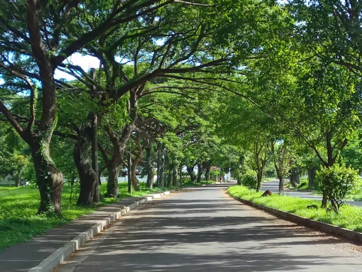 Prime residential lots in Cuesta Verde Lucena by Sta. Lucia Realty