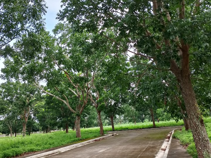 Invest in Residential Lots in Tayabas, Quezon from Php 2.3M