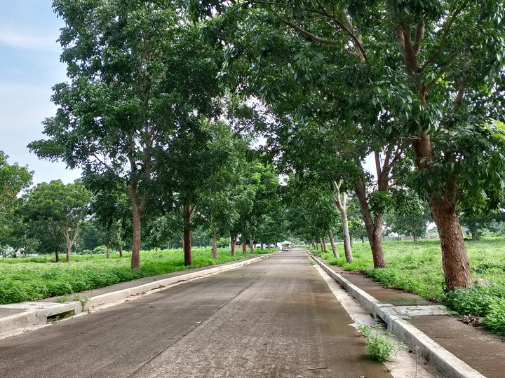 Residential and commercial lots for sale in Tayabas, Quezon