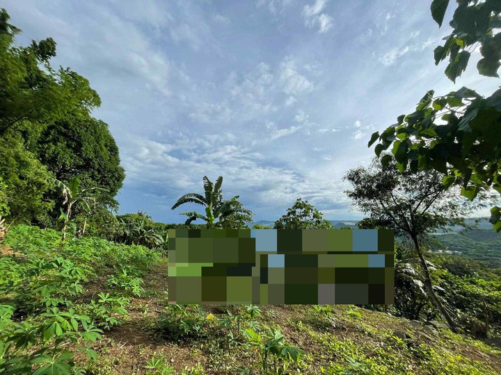 Antipolo Overlooking lot for sale