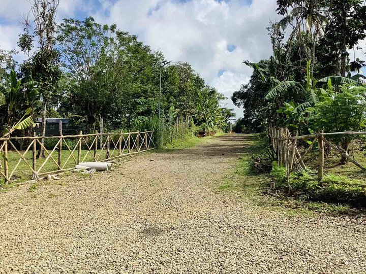 Farm Lot near Sonya's Garden and Tagaytay for sale