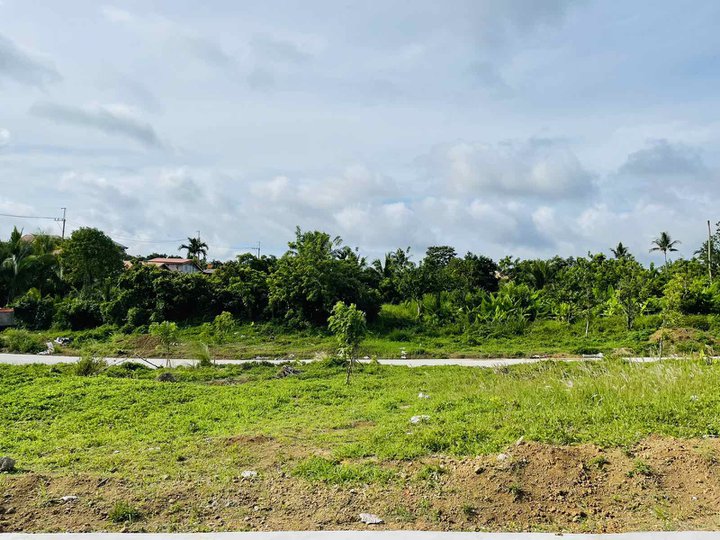 Lot for Sale1001 sqm in Cavite near Tagaytay road perfect investment