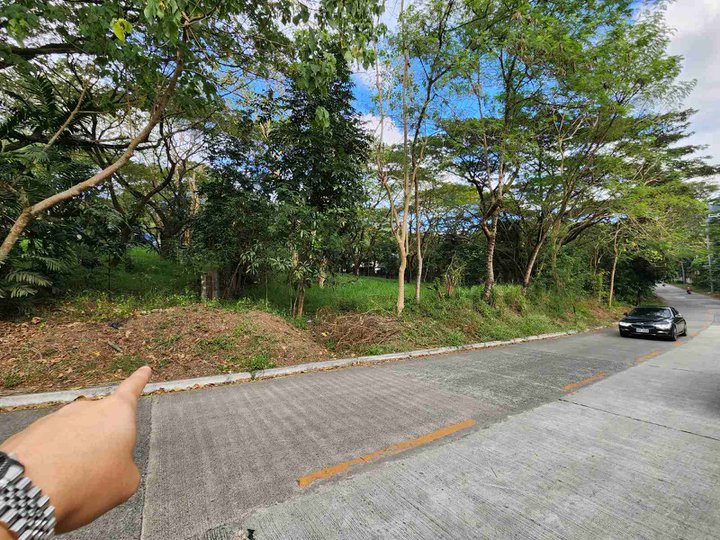 1,816 sqm Residential Lot For Sale in Antipolo Rizal