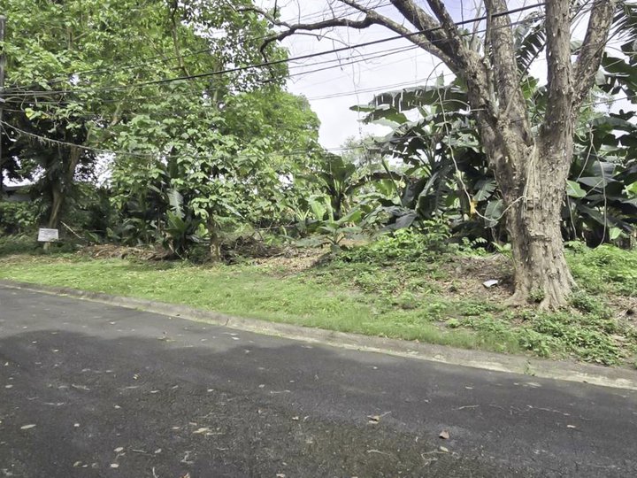 For Sale, Prime Residential Lot in Quezon City at La Vista Subdivision