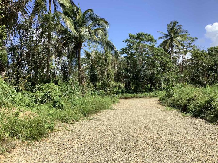 Lot for Sale for Farm near Tagaytay and MOST PICK!