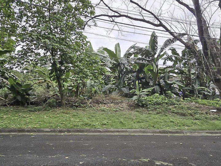 La Vista Subdivision, 150k/sqm Residential Lot for Sale in Quezon City