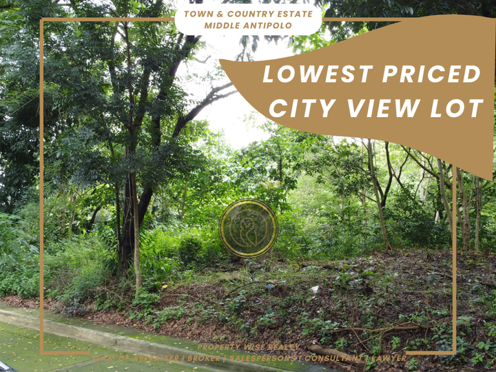 Lot with City View I Town & Country Estate Antipolo