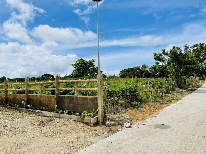 Farm lot-Lot for Sale Tagaytay area