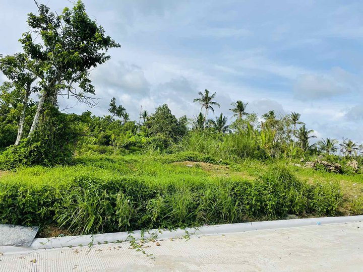 Lot in Alfonso Cavite with good location and affordable price for sale
