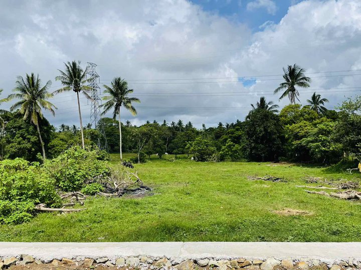 Lot for Sale with good location and Tagaytay weather
