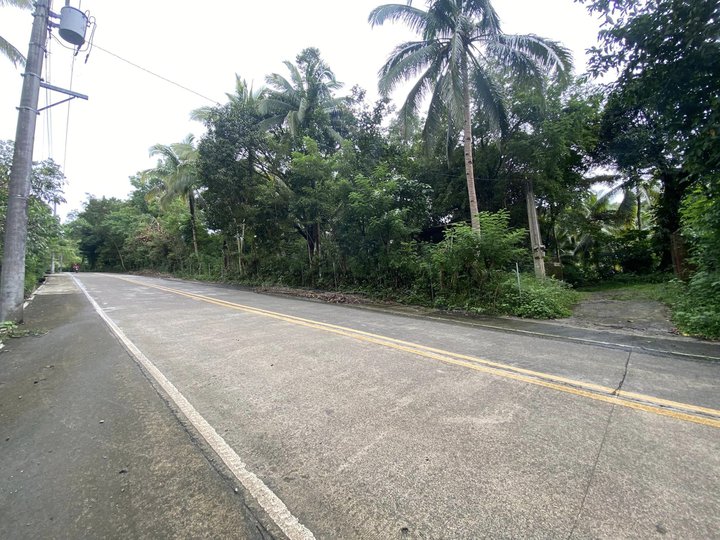 FOR SALE: 2-HECTARES FARM LOT IN BRGY SAMPALOC TANAY TANAY, RIZAL NEAR JE CAMP AND CAMP CAPINPIN