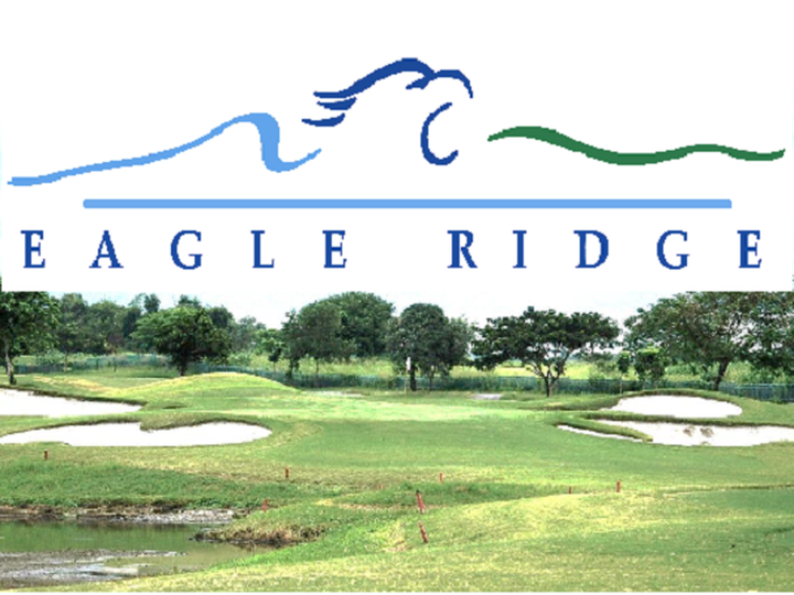 311 sqm Residential Lot For Sale in Dasmarinas Cavite