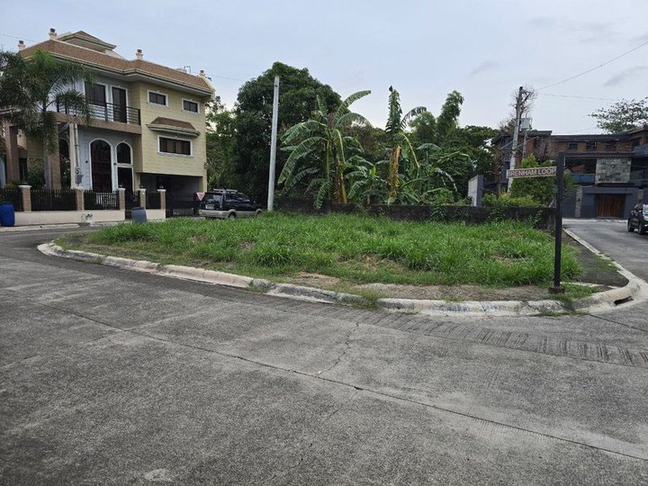 172sqm Residential Corner lot for Sale in Irvine Place Filinvest East Cainta Rizal