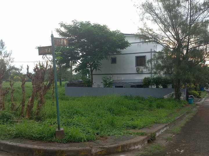 231sqm Residential lot for Sale in Southplains Exec Village Aguinaldo Highway Dasmarinas Cavite